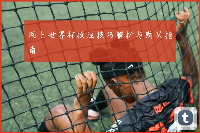 网上世界杯投注技巧解析与购买指南