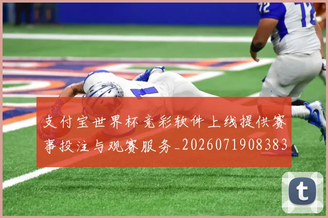 支付宝世界杯竞彩软件上线提供赛事投注与观赛服务_20260719083830