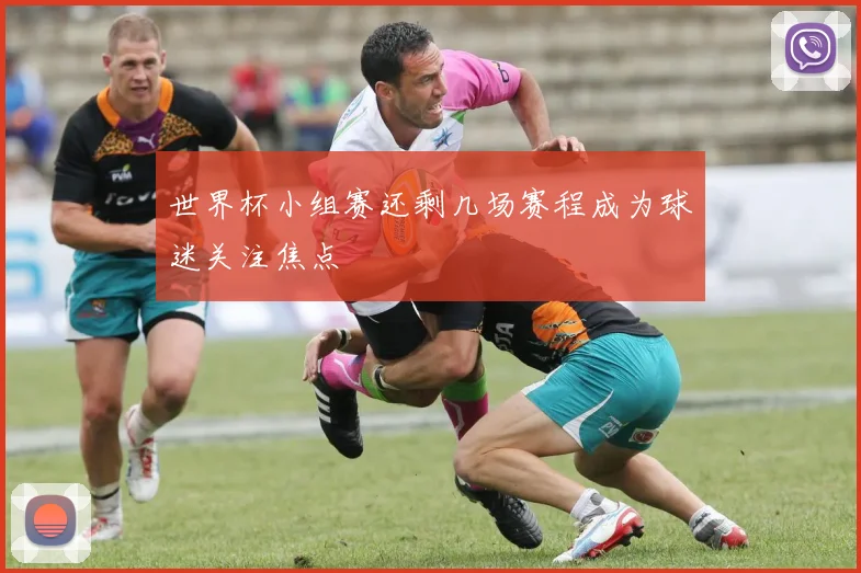 世界杯小组赛还剩几场赛程成为球迷关注焦点